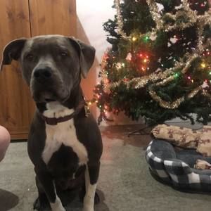 Meet your Posher, Allaynah